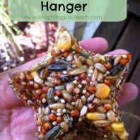 Beautiful bird seed feeder or hanger kids can make.