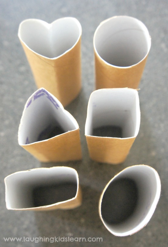 cardboard toilet tubes