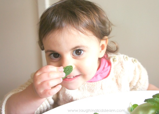 Smelling mint for sensory experience playdough