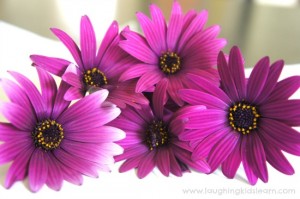 Daisy chain flowers