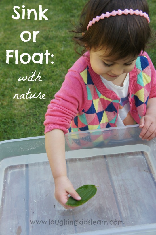 Does it sink or float activity using natural objects from nature