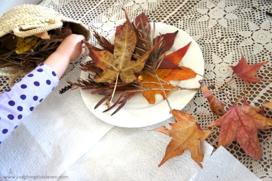 Drying leaves for collage art picture