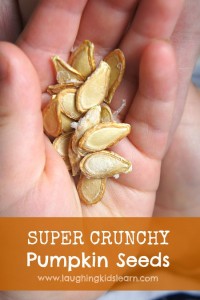 Super crunchy pumpkin seed snack idea for kids.