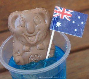 Close up of koala in a creek for Australia Day