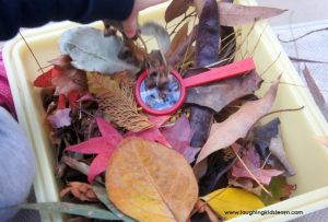 making an Autumn or Fall sensory bin