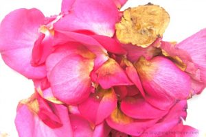 old rose petals for sensory play and use in fairy mud