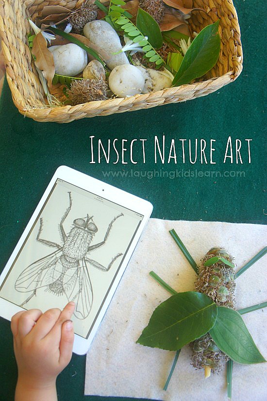 Insect Nature Art inspired by Australian Natural Pyrethrins