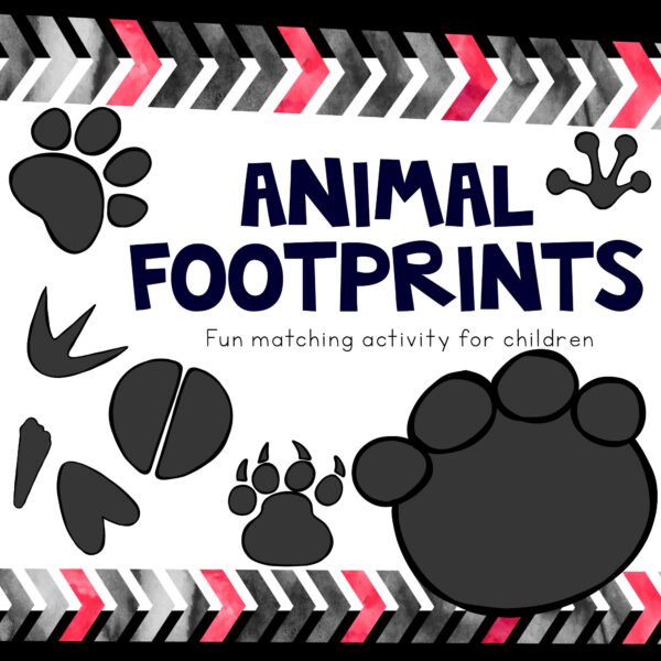 Matching animal footprints activity