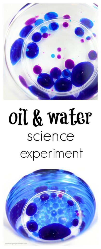 mixing oil and water together science activity or experiment for kids. Great for learning about the density of liquids. #scienceactivities #liquiddensity #oil #water #oilandwater #mixingliquids #scienceexperiment #funscience #blue #purple #mixingcolors #simplescience #scienceideas #scienceteacher #crazyscience #waterdensity #density #foodcoloring #laughingkidslearn #learningcolors #funscience #simplescience #scienceathome #scienceintheclassroom #kidsscience #ilovescience